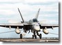 US Navy F/A-18 #10