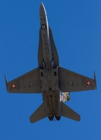 Swiss Air Force F/A-18 Hornet Display