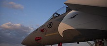 90 Years RSAF F-15 Eagle