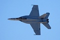 Nice top view of the U.S. Navy F/A-18F Super Hornet