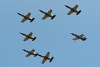 Breitling Jet Team L-39C ES-YLN 1