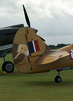 P-40F Warhawk with new pin-up on the rudder