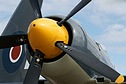 Carrier based Sea Fury close-up