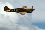 Top view fly-by of the P-40F Warhawk