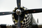 P-47 Thunderbolt 'Snafu' close-up