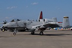 163rd FS 'Blacksnakes' A-10C