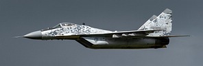 MiG-29AS 0619, Zlk