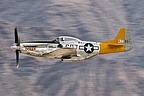 Planes of Fame P-51D Mustang 'Dolly'