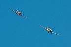 P-40E Kittyhawk and Tomahawk IIB