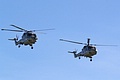 Lynx helicopters of the Royal Navy ‘Black Cats’ Display Team, No. 815 NAS HMA.8, XZ732/314 (left) and No. 702 NAS HAS.3S, XZ234/630 (right).