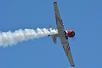 GEICO Skytypers T-6 in nearly 90 degrees roll