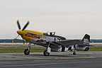 Mark Murphy and the P-51D Mustang Never Miss
