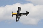 P-51D Mustang Never Miss