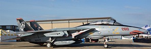 Museum's F-14 Tomcat in VF-101 Grim Reapers CAG-bird colors
