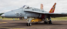 Spanish Air Force EF-18M Hornet with NATO Tiger Meet 2016 markings