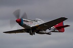 P-51D Mustang 'Tall-in-the-Saddle