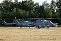 Royal Navy Lynx HMA.8 helicopters