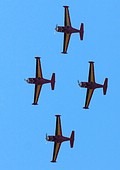 Belgian Air Force Red Devils