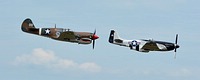 P-51D Mustang 'Quick Silver' with P-40M Warhawk 'The Jacky C. II'