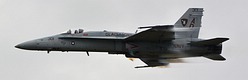 USN Tac Demo F/A-18C Hornet 301