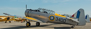 NA64 Yale RCAF 3400