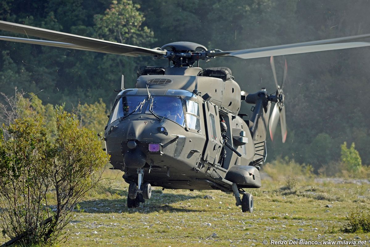 Italian Army Airmobile Permanent Training II/2020 Exercise - Rivoli ...