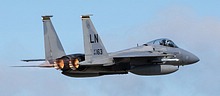U.S. Air Forces Europe F-15C Eagle 86-0163/LN 48th FW 493rd FS